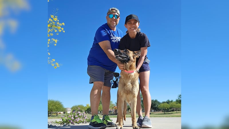 Florame says the German shepherd, lovingly named Freya now, has been a joyous addition to...