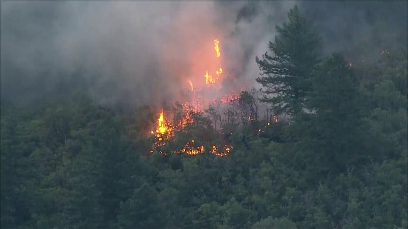 FILE. New numbers from the Arizona Department of Fire Management show wildfire activity is...