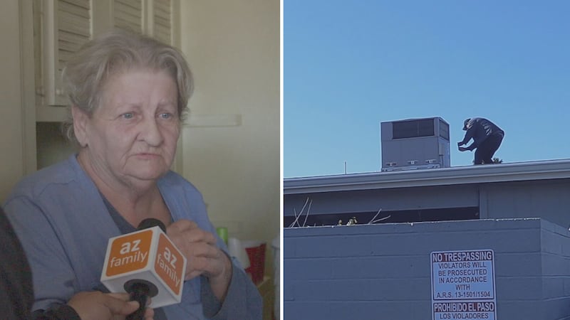 Surprise Squad jumped in to help a Sun City widow who was struggling with home repair issues.