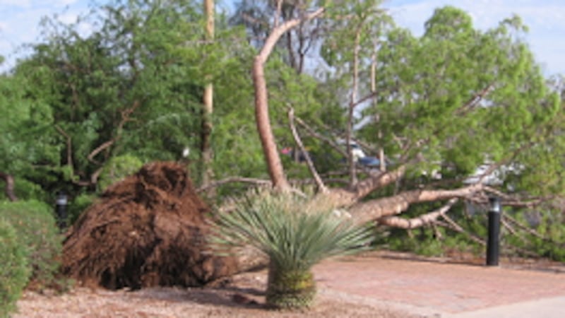 On this date 16 years ago, some very strong thunderstorms hit the Valley.