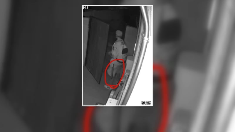 The homeowners say the man had a machete, small knife, and pepper spray on him.