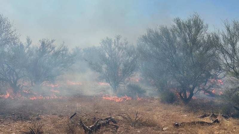 The Ray Fire is burning about 20 acres near Kearny in Pinal County.