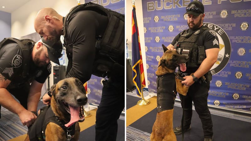 Buckeye Police says K-9 Echo's vest is on the way!