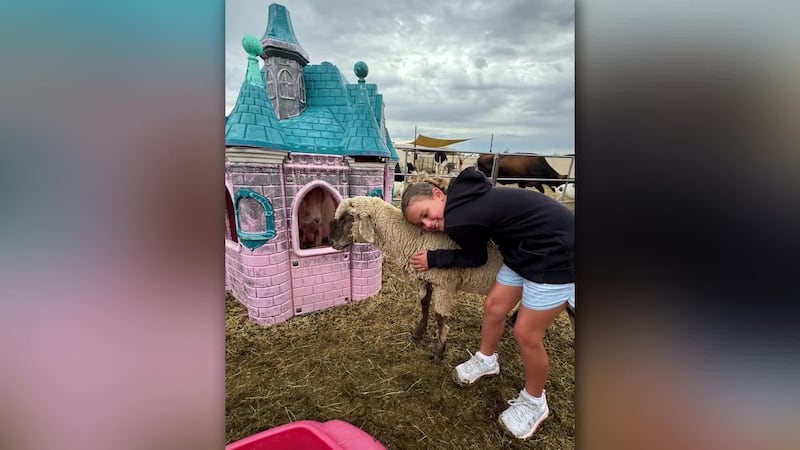A 9-year-old from Surprise saved up cash she’s received from past birthdays to donate to local...