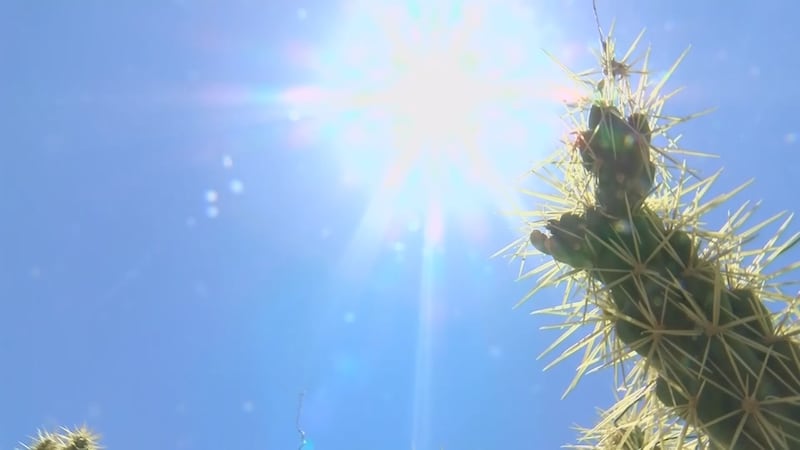 As of Aug. 1, Maricopa County has recorded 39 heat-associated deaths.