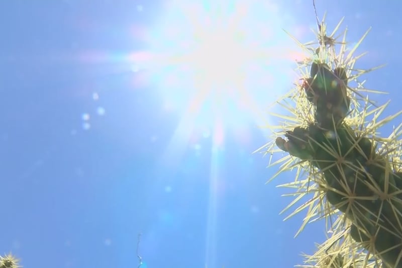 As of Aug. 1, Maricopa County has recorded 39 heat-associated deaths.