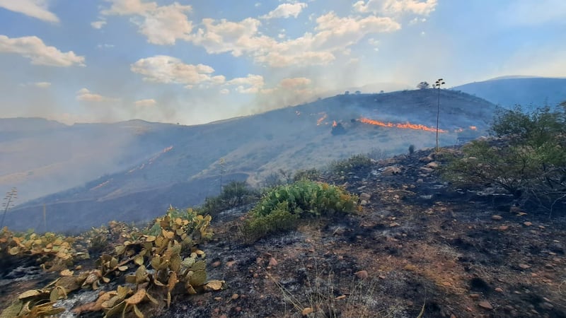 Lightning started the intense fire near Tonto National Monument, just south of Roosevelt Lake.