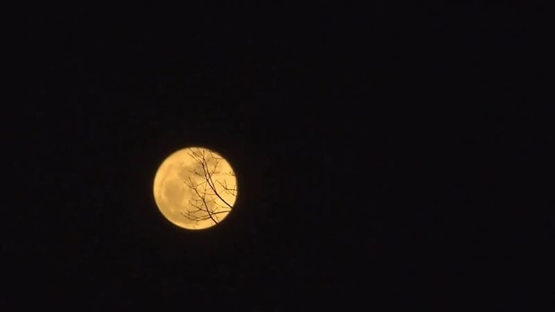 You can catch a rare super blue moon in the sky tonight.