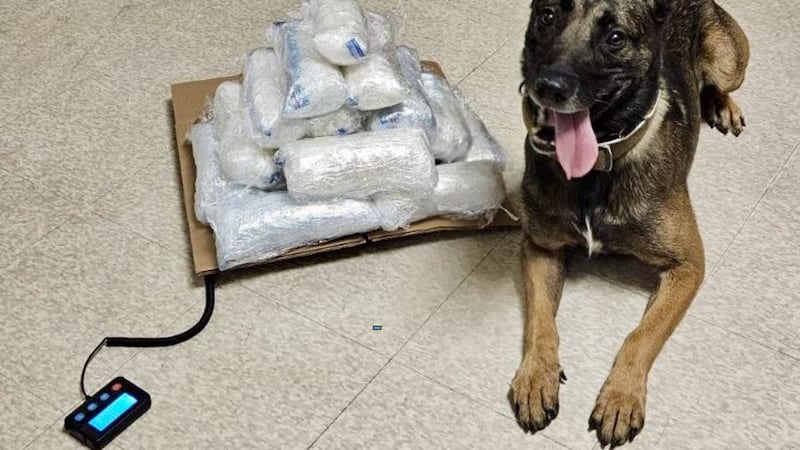 The Coconino County Sheriff's Office arrested a person for alleged drug trafficking during a...