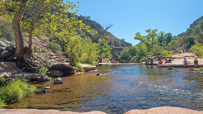 State officials are warning the public about E. coli contamination at Oak Creek thought to be...