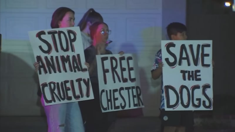 Senate Bill 1047 aims to protect pets with stronger state laws