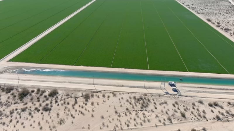 Critics say these foreign farm operations are draining one of Arizona’s scarce resources.