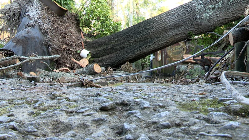 Broken trees and debris not only destroyed their business but also wrecked his family’s homes.