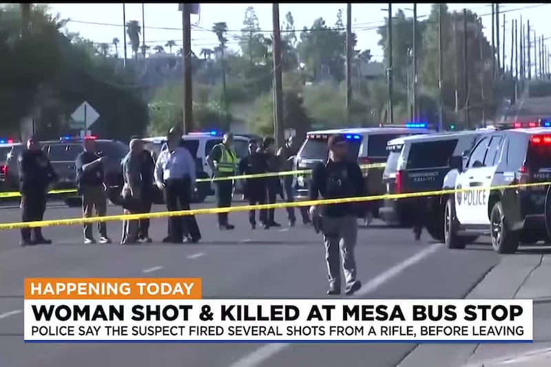 Witnesses say a man with a rifle approached a Mesa bus stop on Tuesday morning and shot her to...