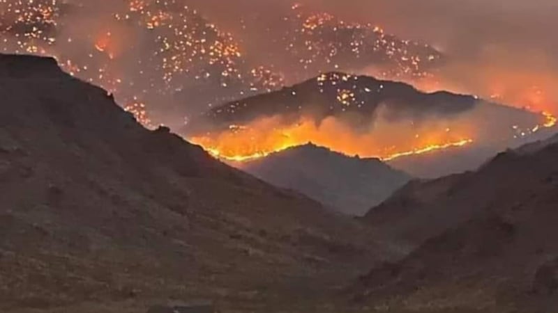 According to the Mohave County Sheriff’s Office, two new wildfires, deemed the Left Fork and...