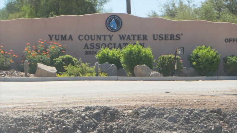 The recent rain and snow-packed winter from earlier in the year has favored Yuma when it come...