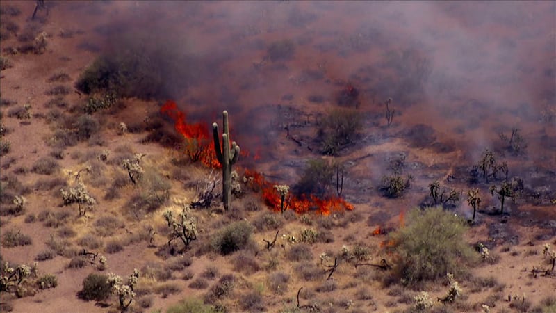 Evacuations have been ordered due to the fast-moving Siphon Fire burning in the Superstition...