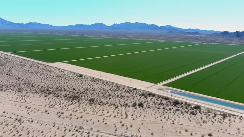 The company Fondomonte Arizona leased thousands of acres of state land in the Butler Valley.