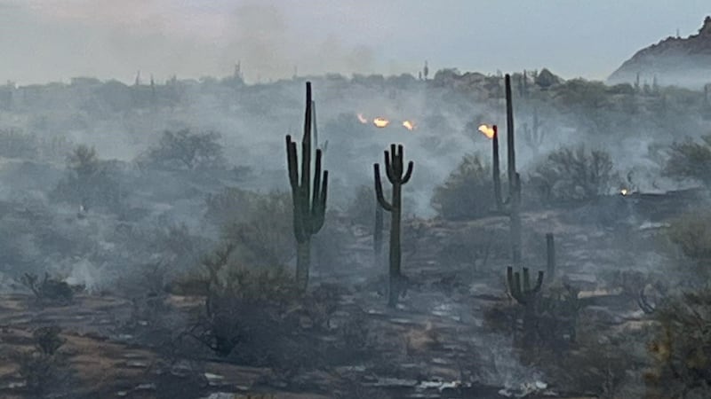 The Ricky Fire was caused by lightning and is burning in the north portion of the McDowell...